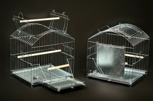 Gaiola Aberta para calopsitas